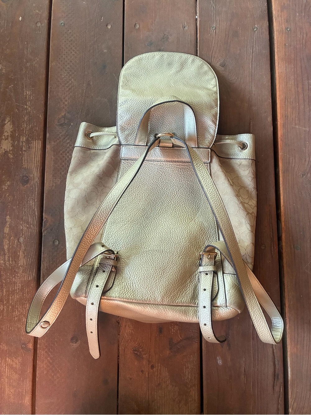 Coach Dempsey Backpack Metallic - Picture 9 of 12